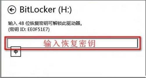 bitlocker密碼忘記了